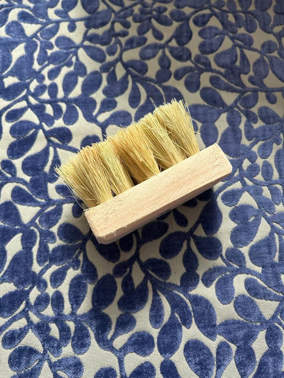 CEPILLO LECHUGUILLA #5