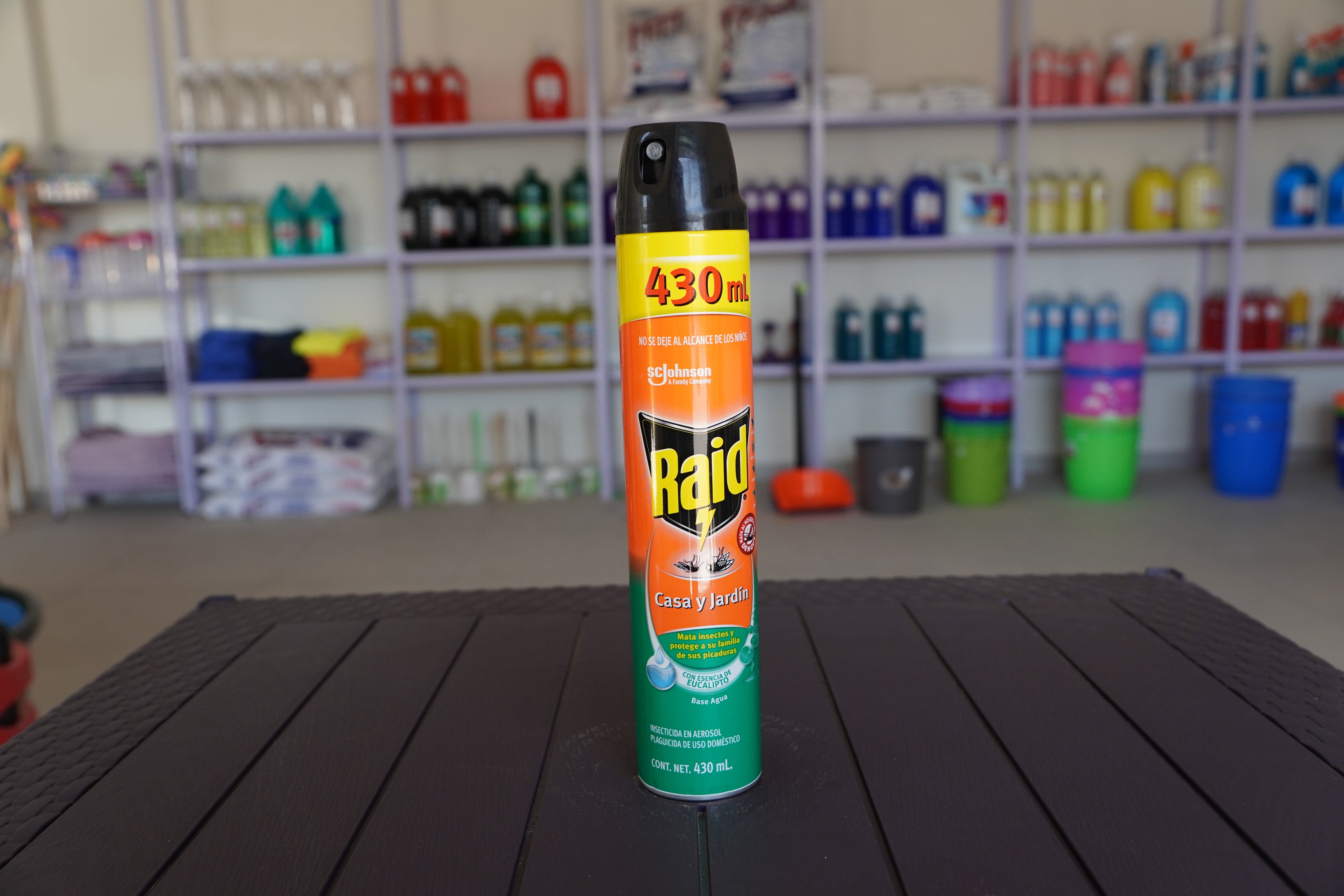RAID CASA Y JARDIN 430ML
